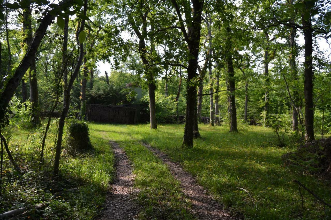 Sainte-Foy-la-Longue Ferme De Mouline 빌라 외부 사진